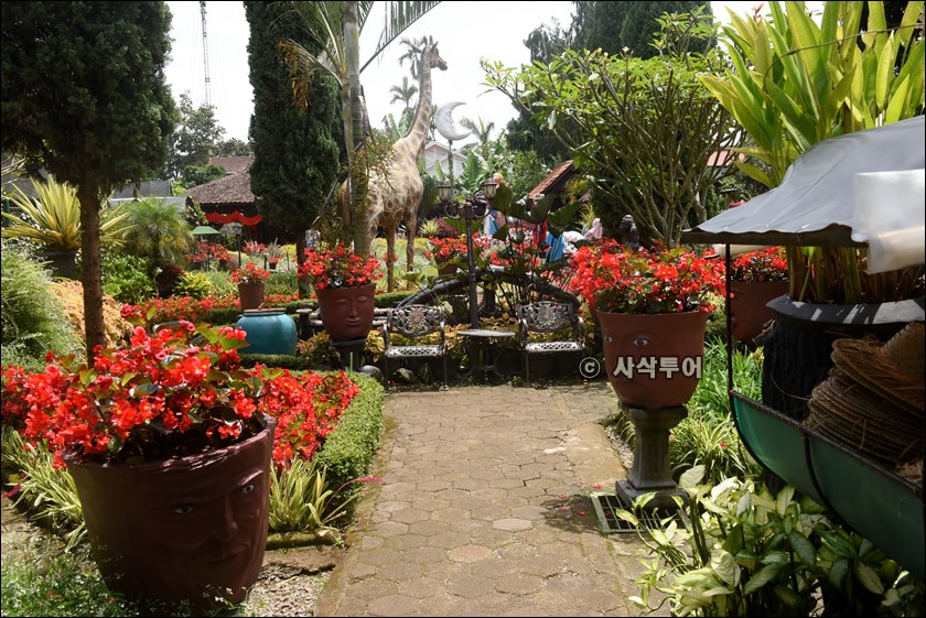 taman begonia040.JPG