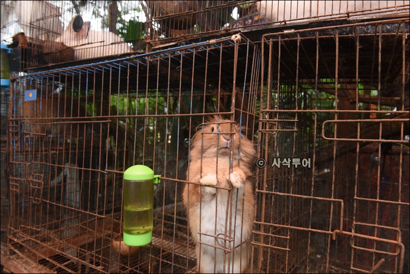 렘방 원더월드029.JPG