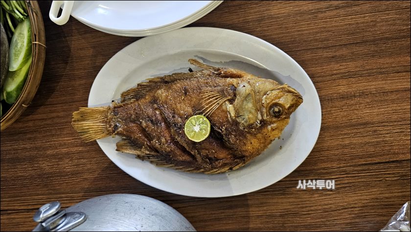 사웅 소레앙048.jpg