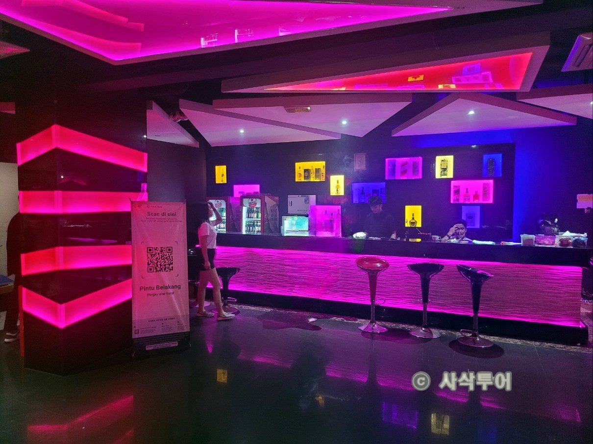 핑키가라오케.jpg