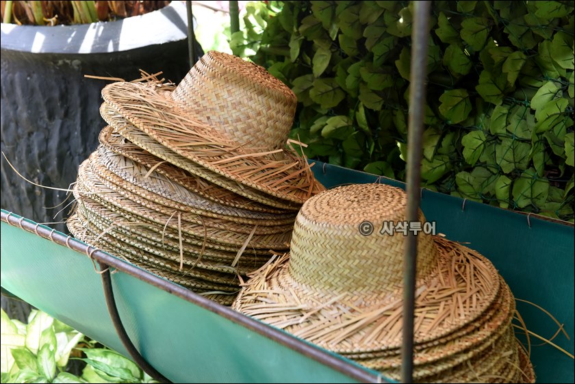 끄분베고니아010.JPG