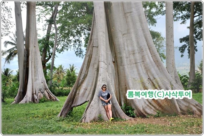 자바횡단여행롬복012.jpg