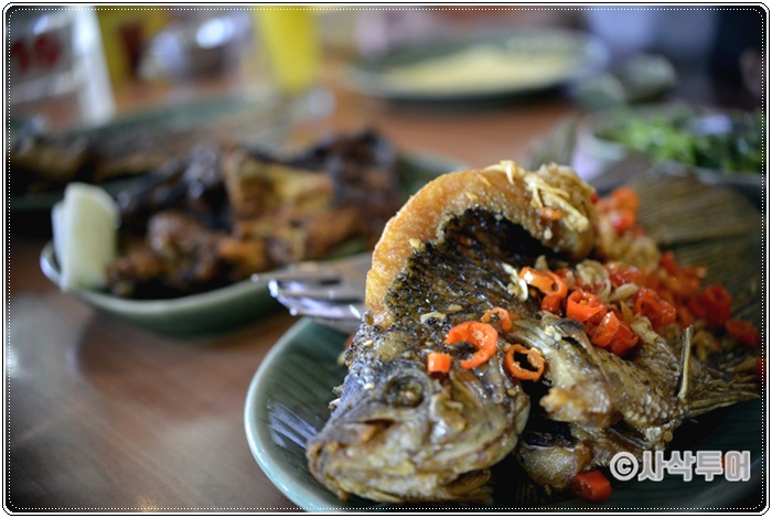구라미.jpg