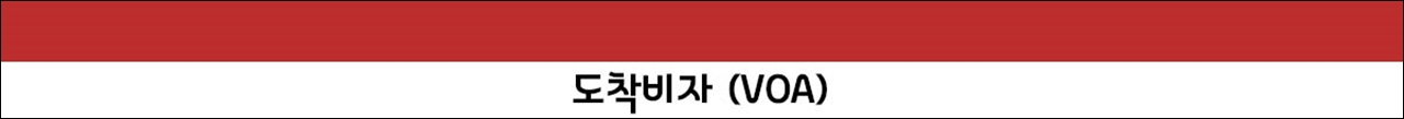 도착비자.jpg