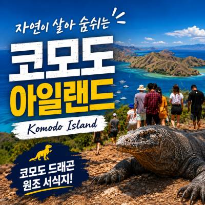 코모도 여행