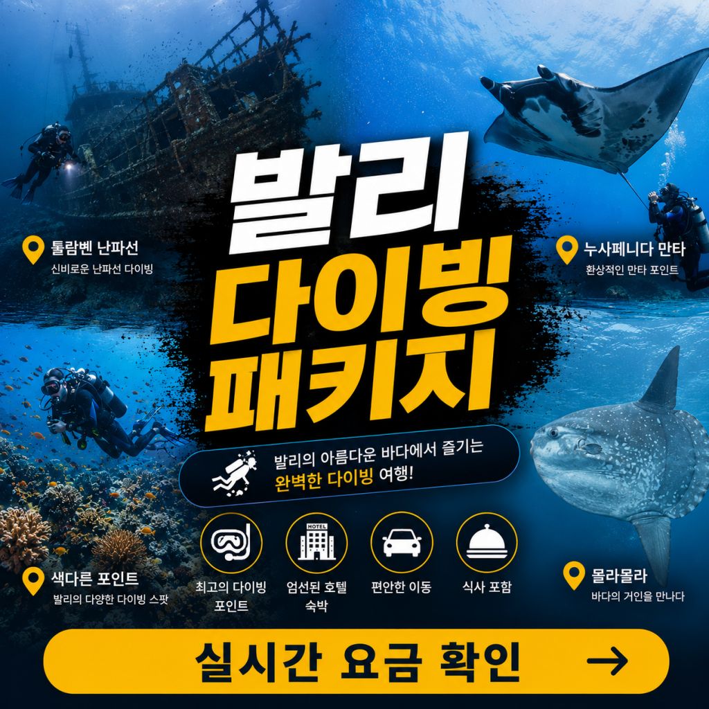 발리 다이빙 패키지 누사페니다 만타 툴람벤 난파선 몰라몰라 다이빙 안내