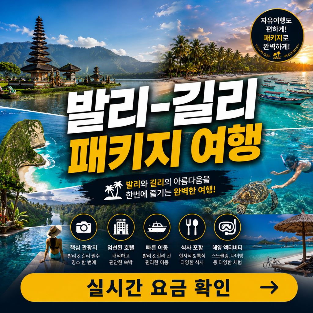 발리 길리 패키지여행 길리트라왕안 길리메노 길리아이어 스피드보트 여행