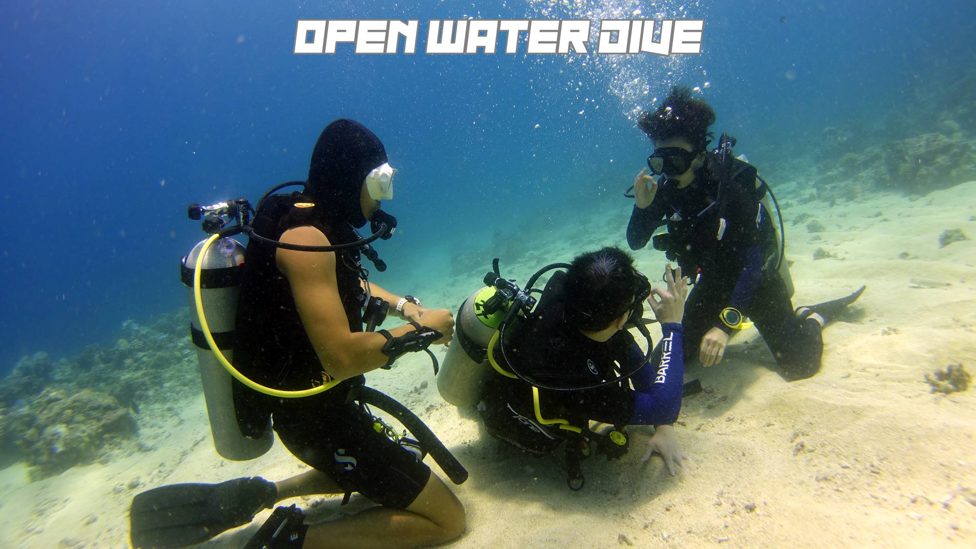OPENWATERDSC05500-1-1 (1).jpg