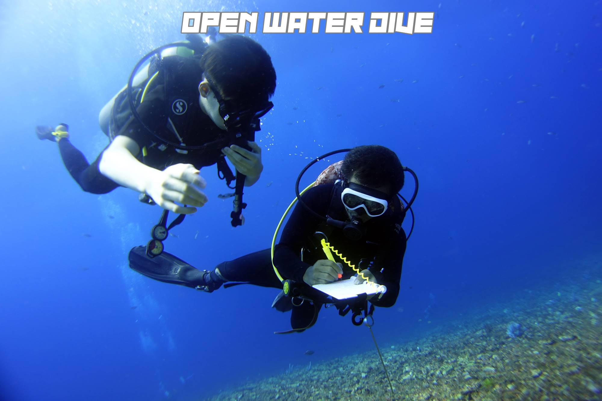 OPENWATERDSC07210-1.jpg