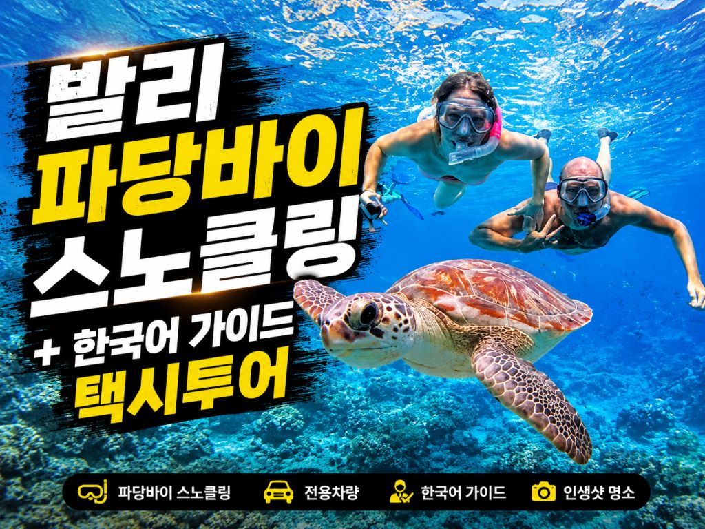 발리 파당방이 + 택시투어.jpg