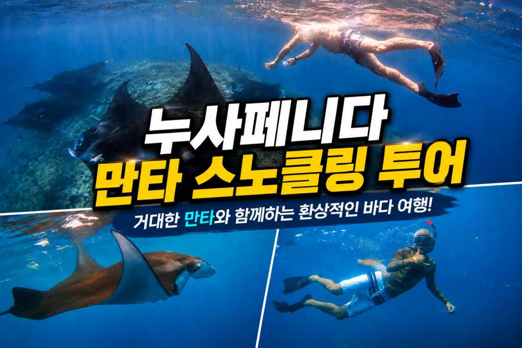 누사페니다 만타 스노클링투어.jpg