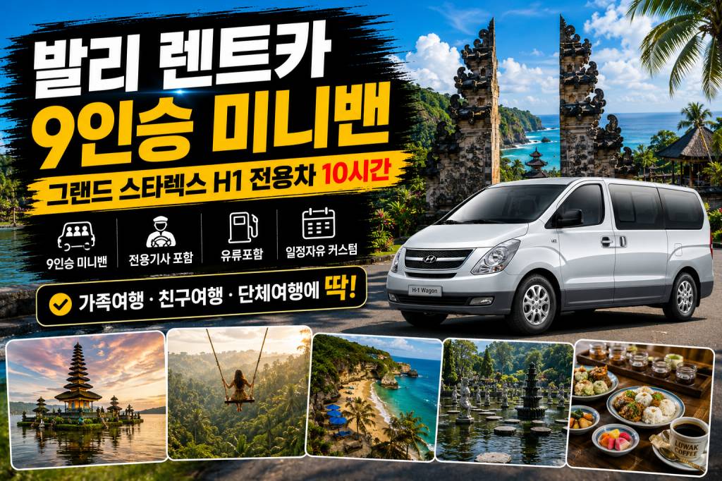 발리 9인승 미니밴 렌트카