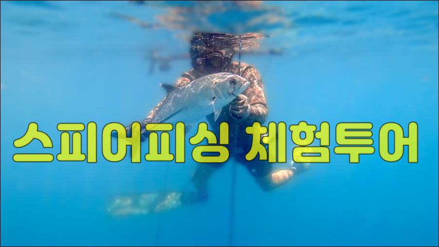 스피어피싱 1일 체험 코스