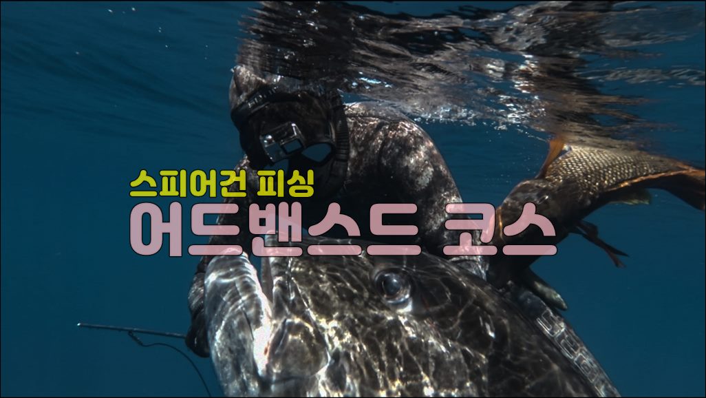 어드밴스드.jpg