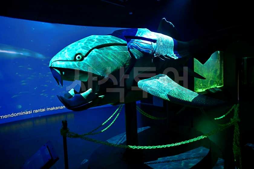 민물박물관민물박물관DSC_0236.JPG