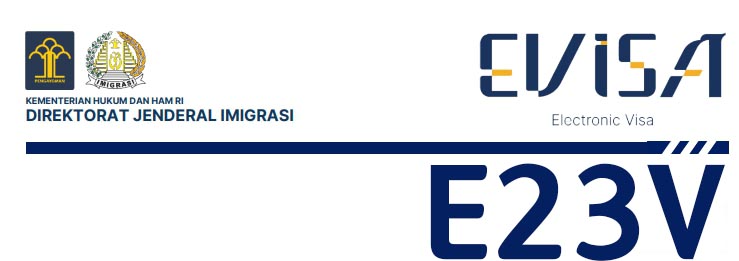 E23V — VISA KERJA KANTOR DAGANG DAN EKONOMI (무역·경제대표부 직원을 위한 취업비자)