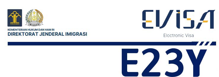 E23Y — 디지털 분야 전문인력 취업비자 VISA KERJA TENAGA AHLI BIDANG DIGITAL