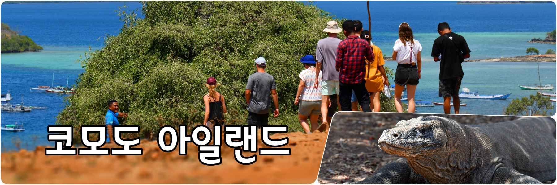 코모도&amp;플로레스.jpg
