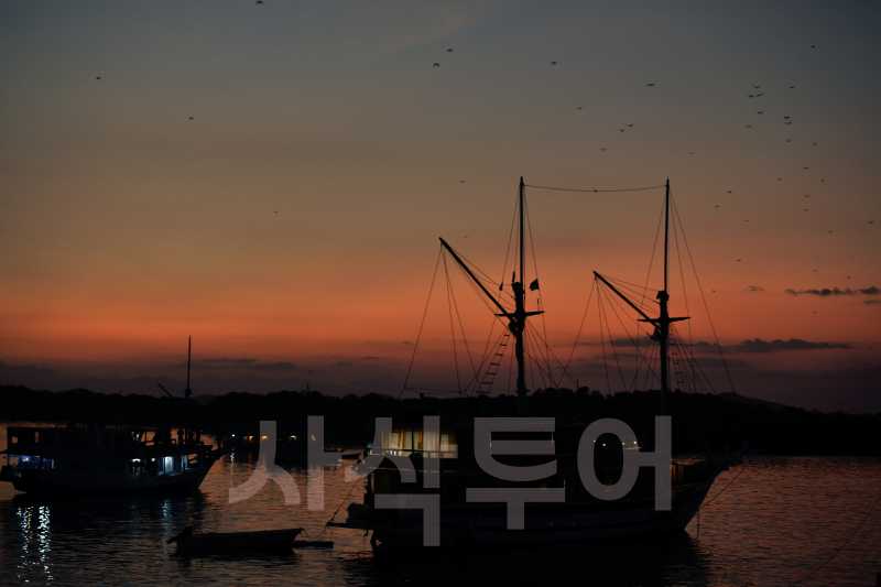 코모도 박쥐섬DSC_7691.jpg