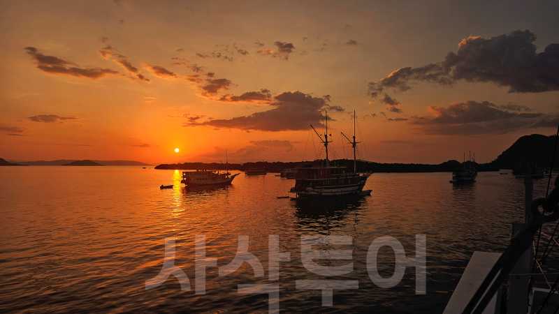 코모도 박쥐섬20240910_174649.jpg