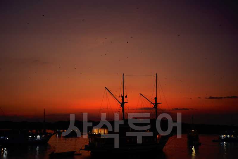 코모도 박쥐섬DSC_8142.jpg