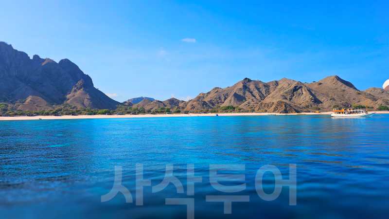 핑크비치20240910_080919.jpg