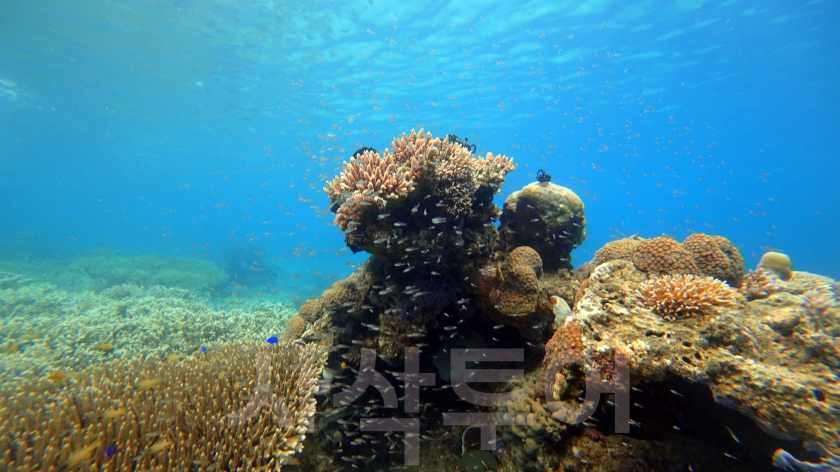 믄저리빗비치DSC03328.jpg