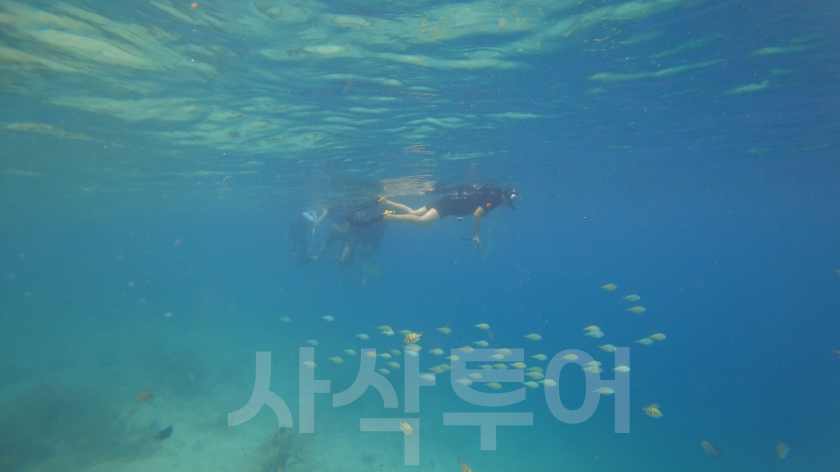 믄저리빗비치DSC03471.jpg