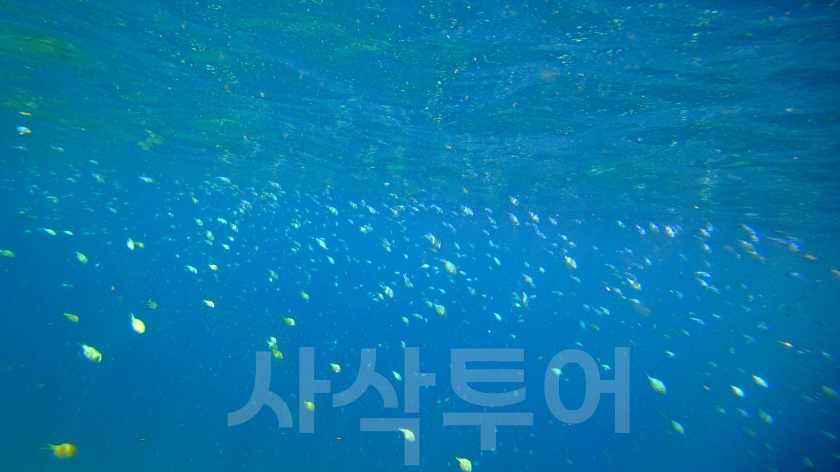 믄저리빗비치DSC03171.jpg