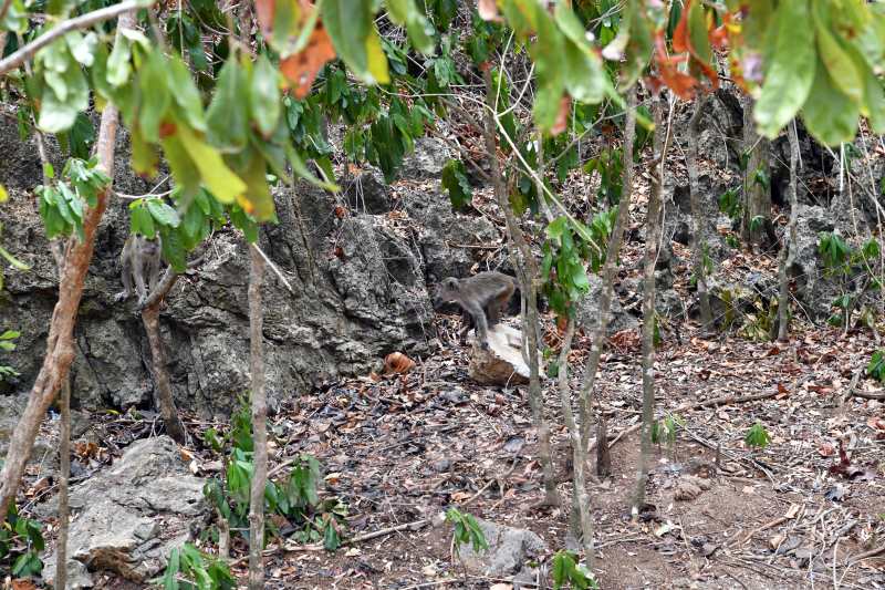고아랑코 goa rangkoDSC_6560.jpg