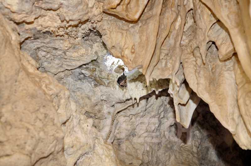 거울동굴 batu cerminDSC_6465.jpg