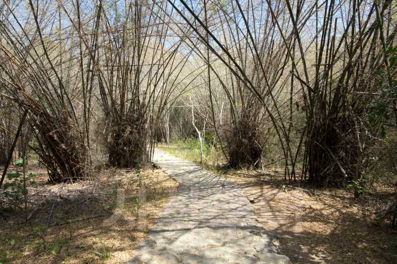 거울동굴 batu cerminDSC_6396.jpg
