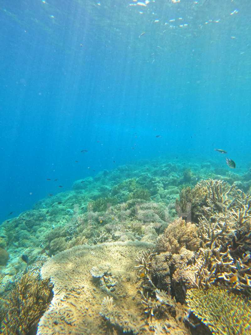 pulau sebyur GOPR3241.jpg