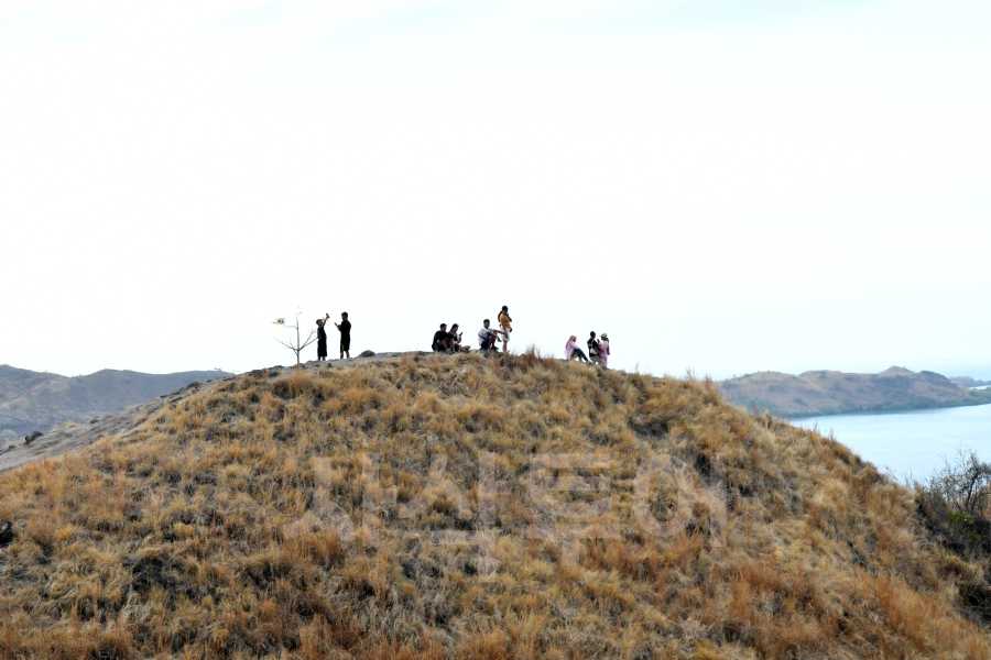 Bukit SylviaDSC_6671.jpg