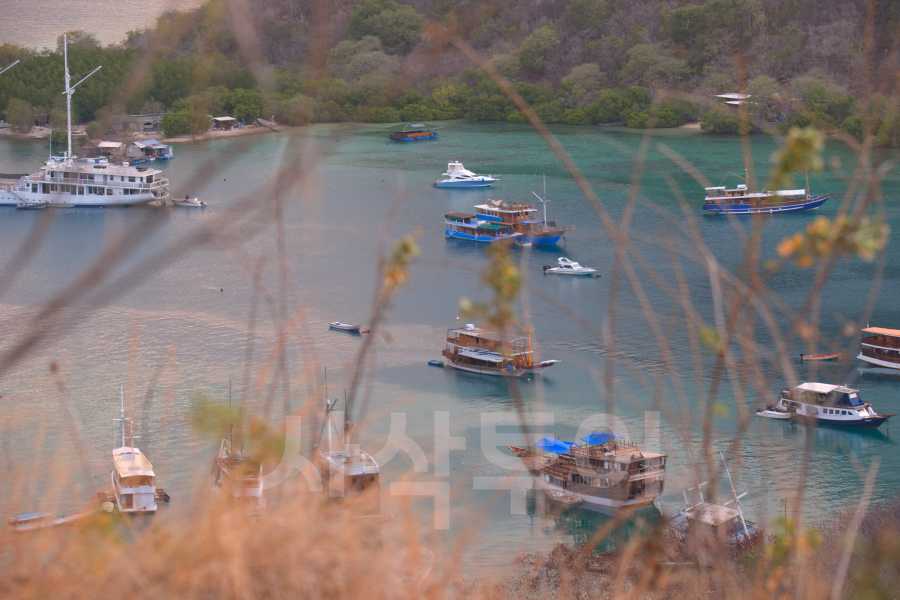 Bukit SylviaDSC_7366.jpg