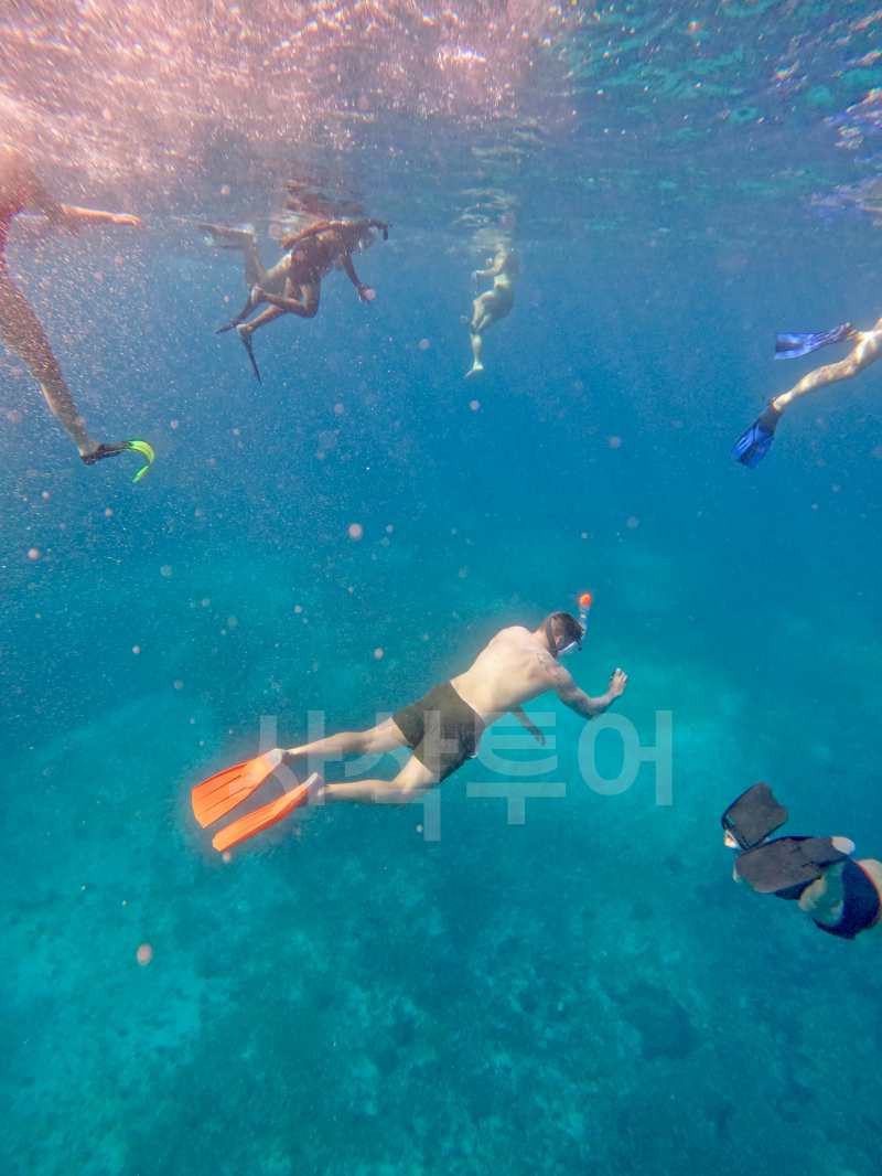 코모도 만타포인트GOPR3308.jpg