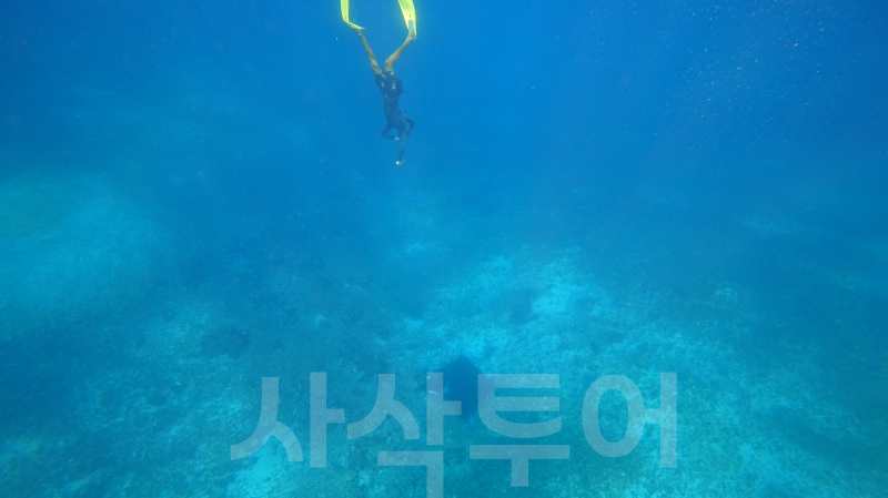 코모도 만타포인트DSC00018.jpg
