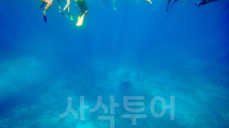 코모도 만타포인트DSC02732.jpg