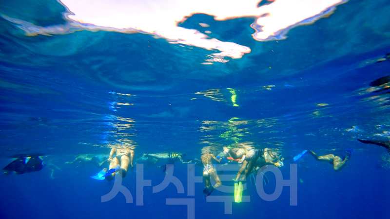 코모도 만타포인트DSC02727.jpg