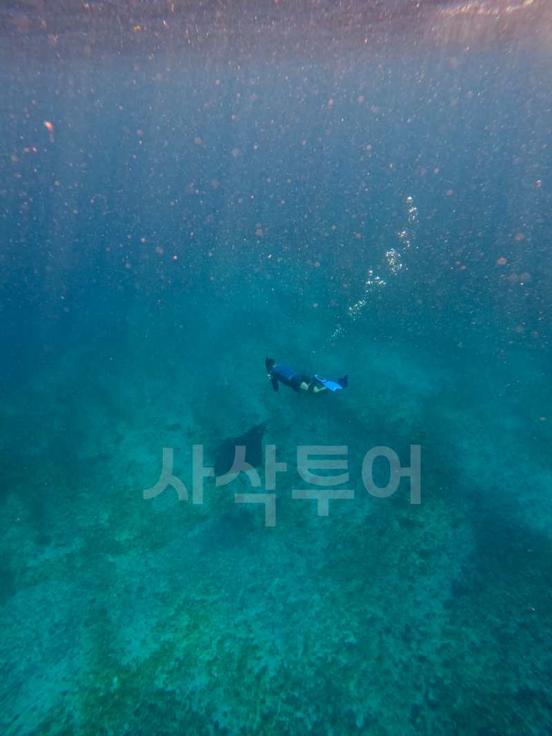 코모도 만타포인트GOPR3314.jpg