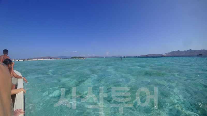 타카마카사르DSC02794.jpg