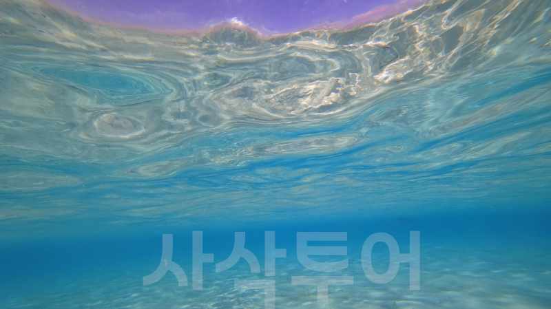 타카마카사르DSC03018.jpg
