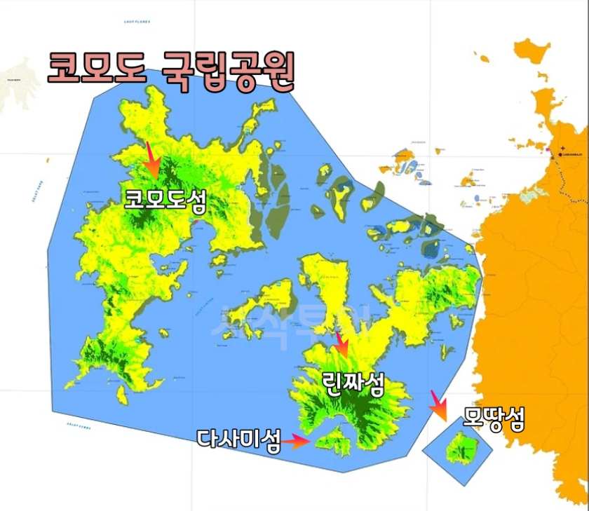 코모도 국립공원.jpg