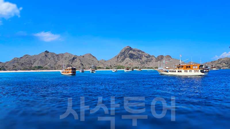 코모도섬20240910_093447.jpg