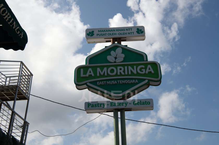 lacuniaDSC_6329.jpg