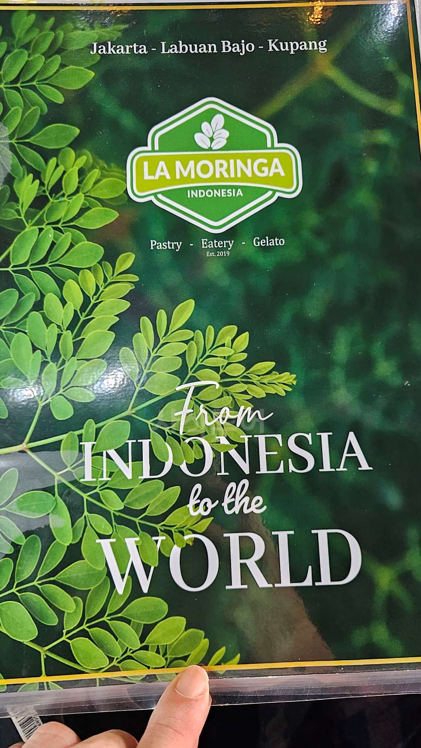 lacunia20240908_090453.jpg