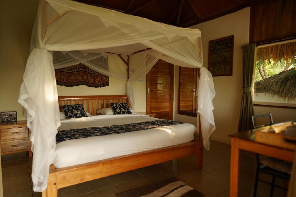 335347893.jpg