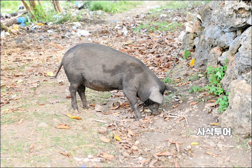 라텡가로 전통마을028.JPG