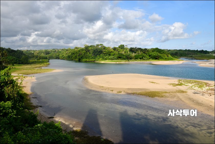 라뗑가로비치003.JPG