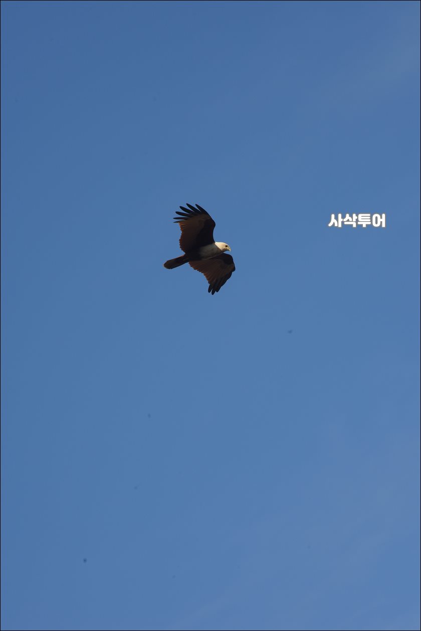 라뗑가로비치019.JPG